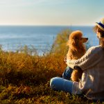 Summer holiday planning: essentials to take when travelling with dogs