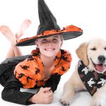 Halloween: 4 ways to make it dog friendly