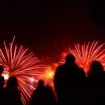 Fireworks and dogs: on bonfire night remember, remember these 8 tips