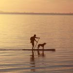 Stand up paddle boarding with dogs: why winter is the best time to start