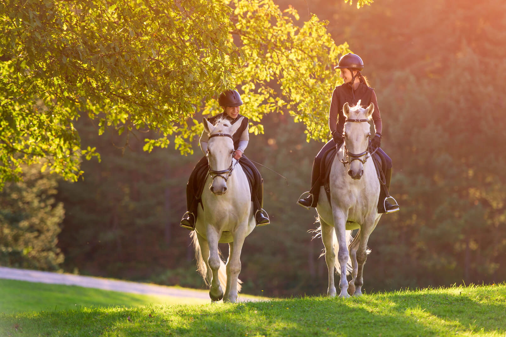 equestrian kit