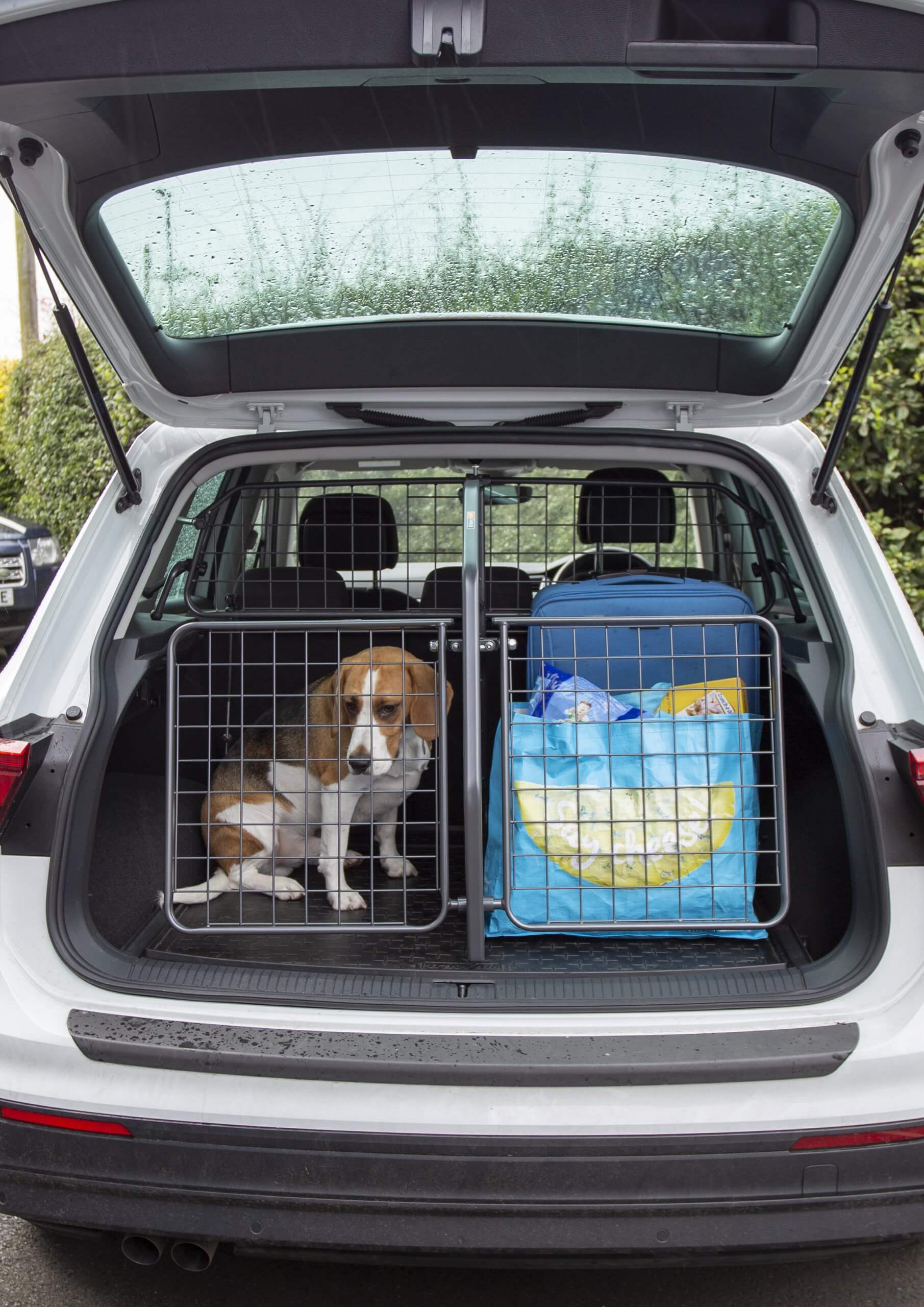 3 reasons the Travall TailGate is a perfect dog crate alternative