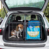 The affordable way to the dream pet-friendly car in 5 easy steps