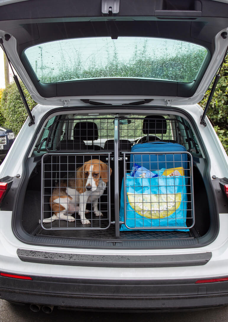 The affordable way to the dream petfriendly car in 5 easy steps