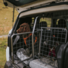 3 reasons the Travall TailGate makes the perfect dog crate alternative
