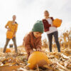 5 fun outdoor activities to try this Autumn