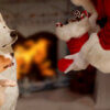 Help dogs get along this Christmas with our 6 easy tips