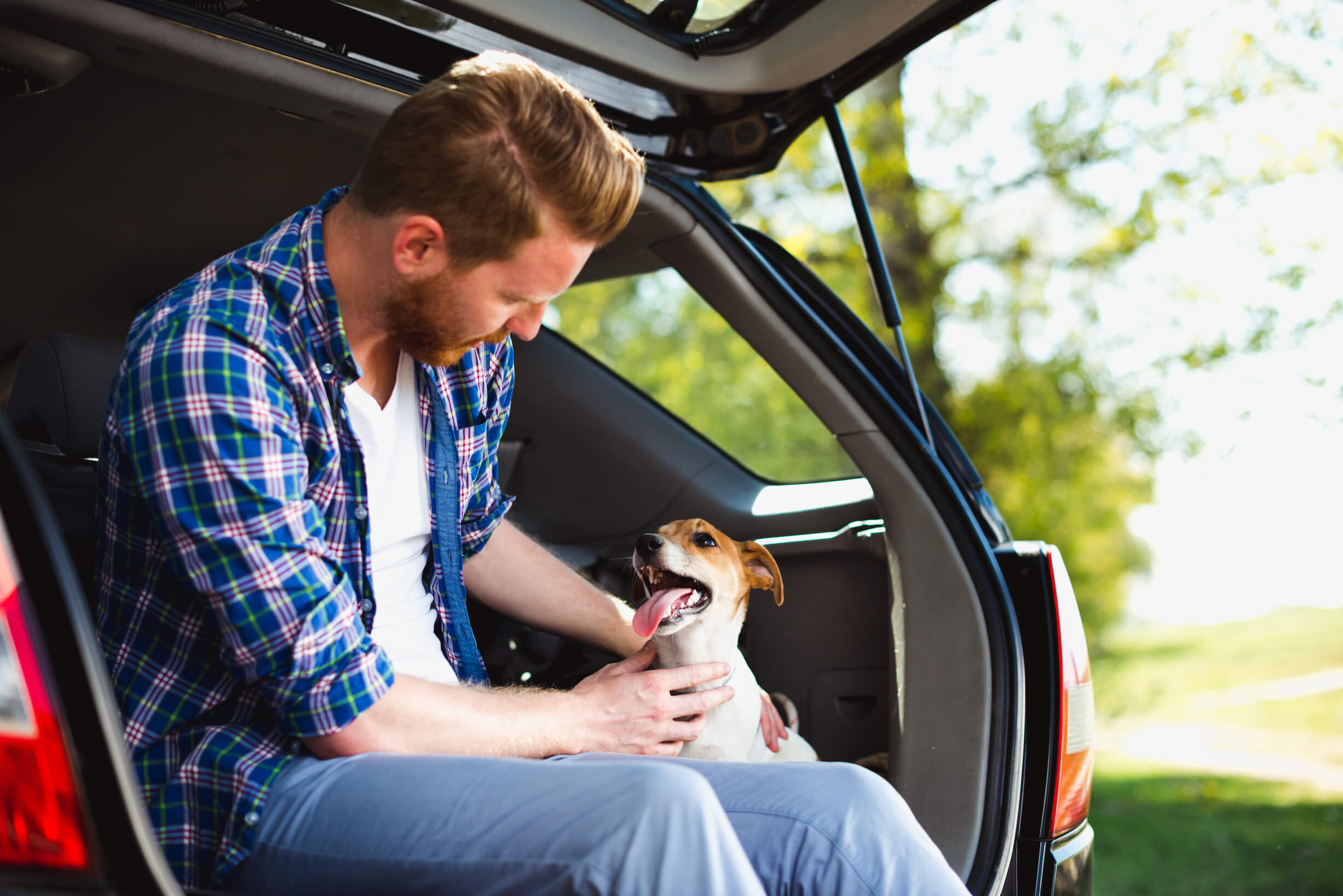 How to help a dog that hates to travel in the car