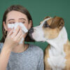 Keeping your dog healthy: can dogs catch colds? 