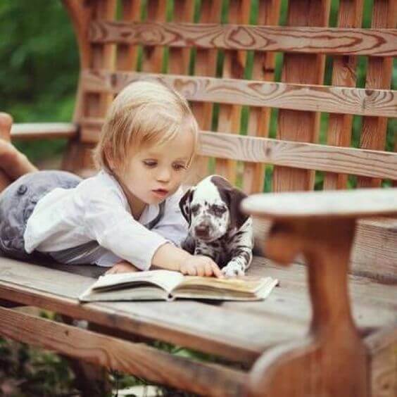 Very young boy lying on wooden bench, reading story to dalmation puppy