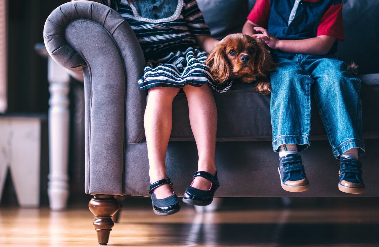 Two young children sitting on velvet couch with Cavalier King Charles Spaniel between them