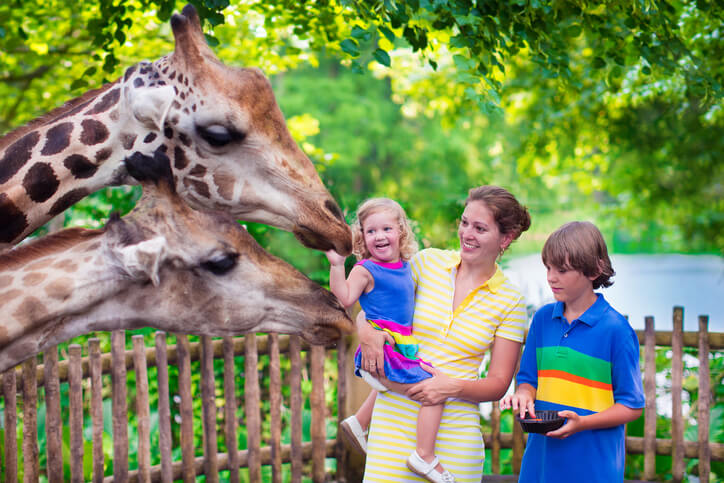 Happy family, young mother with two children, cute laughing toddler girl and a teen age boy feeding giraffe during a trip to a city zoo on a hot summer day