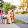 Safely Involve your Dog this Halloween