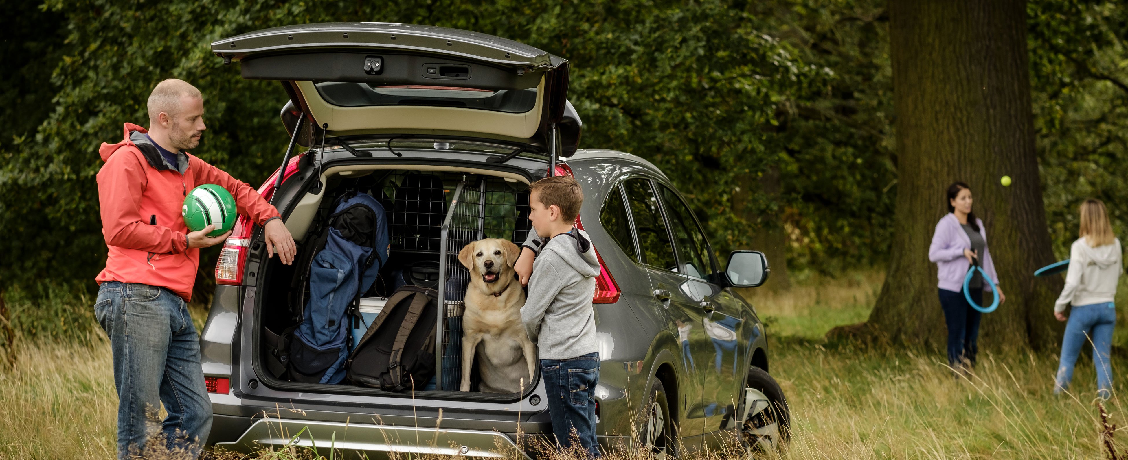 organised trunk