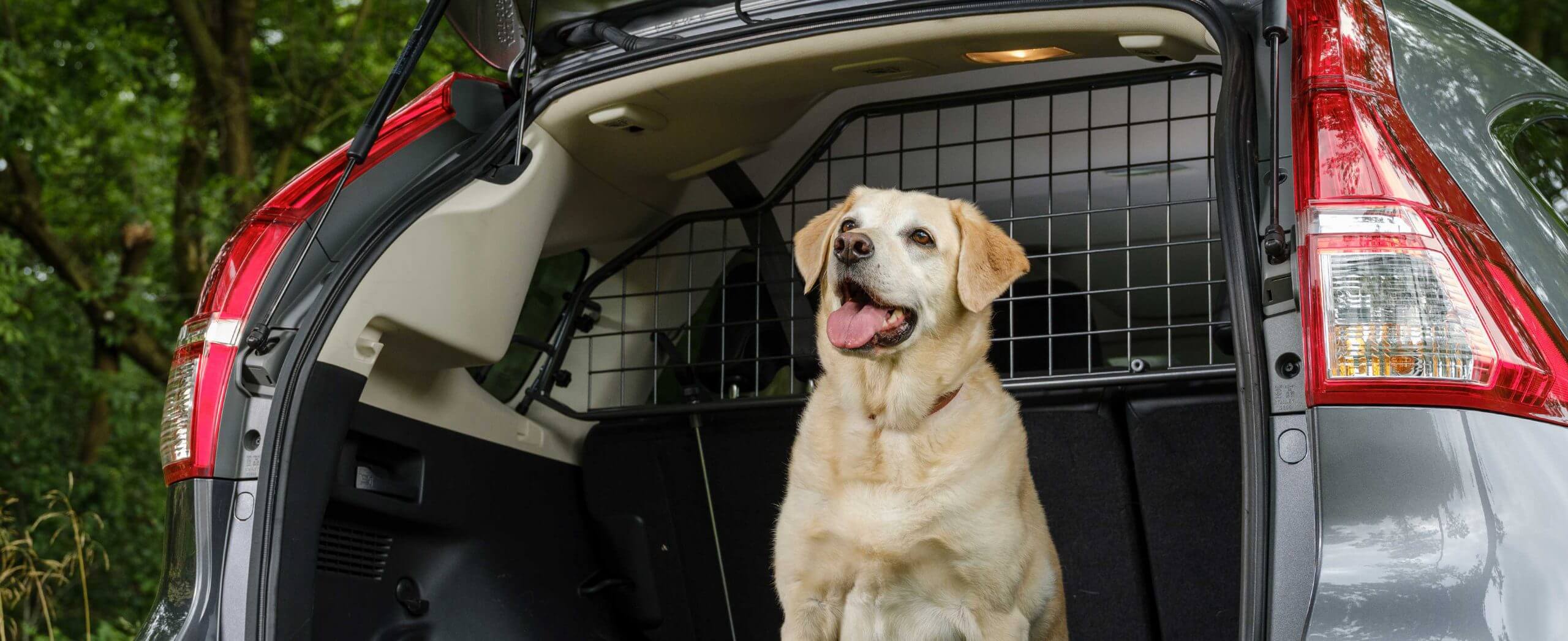 Tired of mud and paw prints? 3 easy ways to dog proof your car