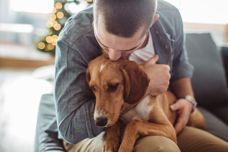 poisoned dog