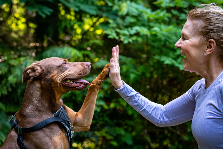 dog and human preventing lyme disease