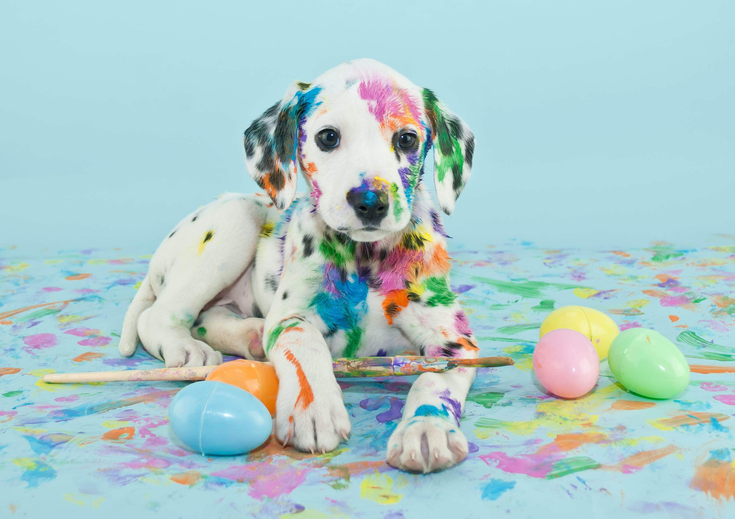 easter dog plush