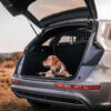 Audi Q5 essentials: Travall car accessories to enjoy the journey