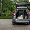 The affordable way to the dream pet-friendly car in 4 easy steps