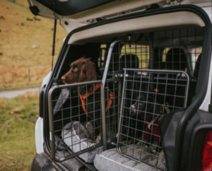 3 reasons the Travall TailGate is a great dog crate alternative
