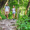 7 tips to keep dogs safe on your outdoor adventures