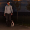 6 safety tips when walking your dog at night