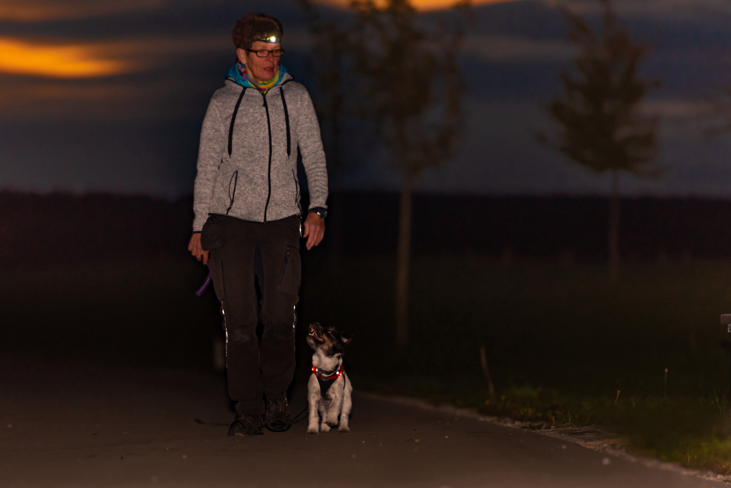 6 safety tips when walking your dog at night