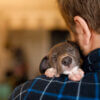 8 essential items to include on your gear checklist for new puppies