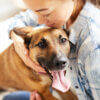 4 ways to celebrate each week of National Pet Month 