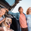 Travall: the top dog in car accessories for pet parents