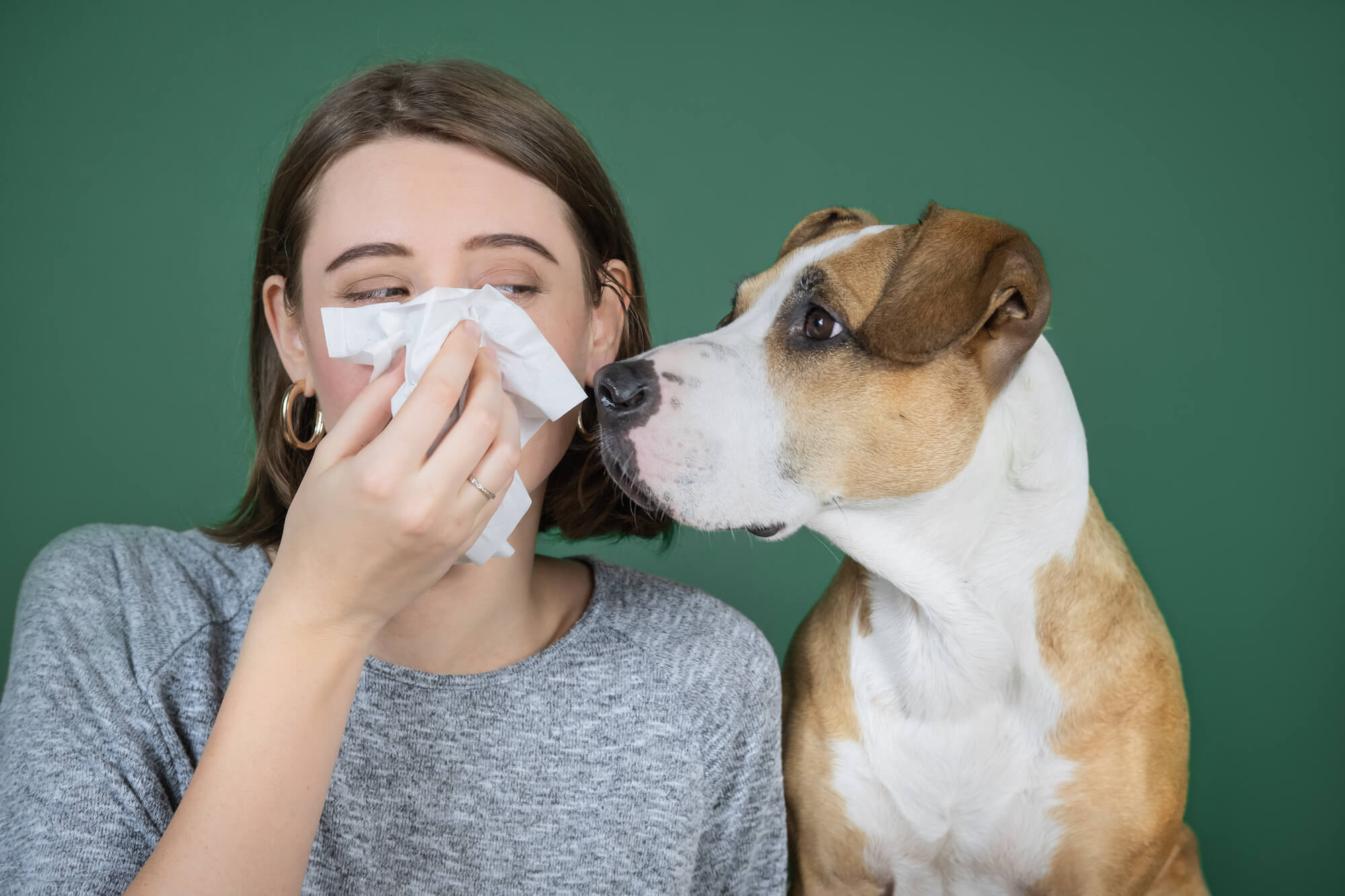 Keeping your dog healthy can dogs catch colds?