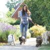 What to consider when using a dog walking service