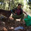 Going greener: how to care for your dog in a sustainable way